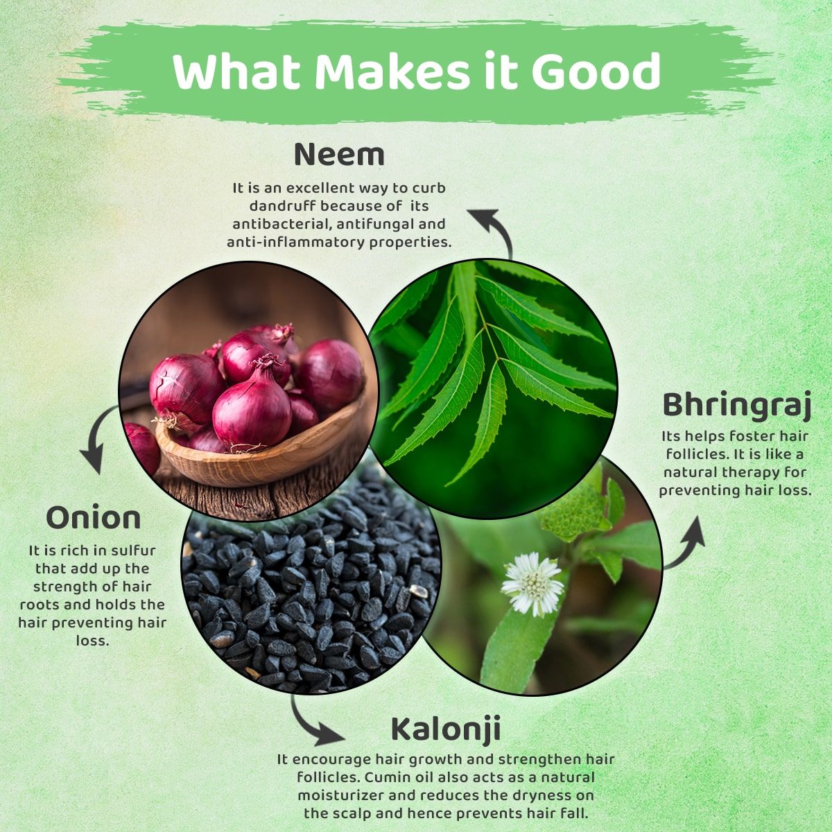 Foxy.in Buy Fantraa Onion oil and Kalonji Hair oil (200ml) online in